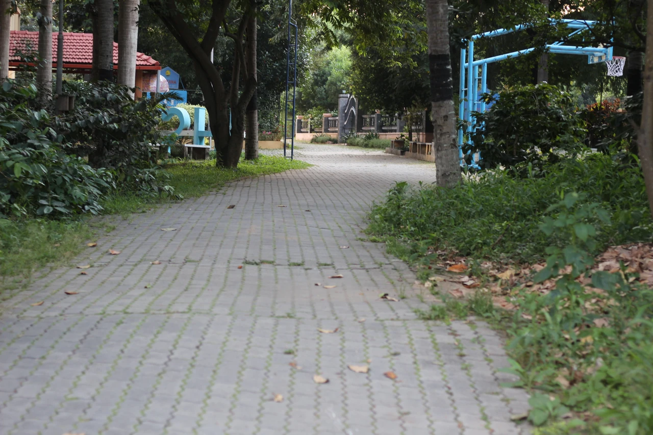 A paved, tree-lined garden path passing a small entrance gateway.