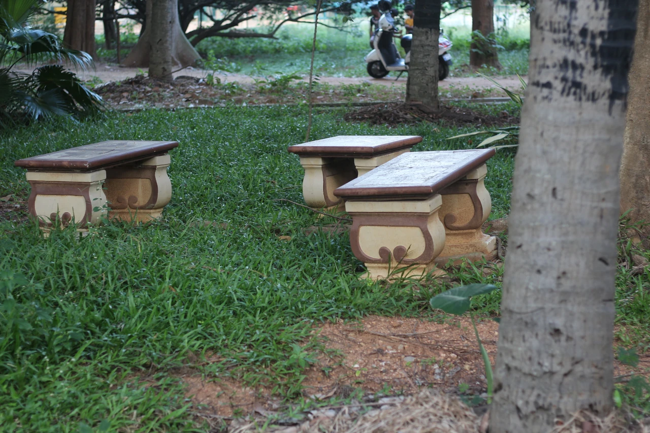 Outdoor tables and benches under the trees in the garden.