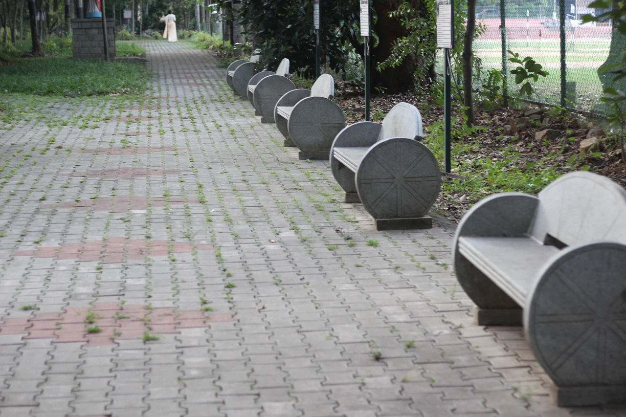 A row of stone benches beside a shaded path, offering space for quiet reflection.